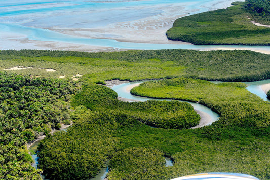 Guinea Bissau